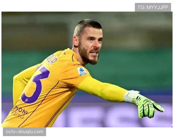 佛罗伦萨德赫亚肩伤无碍，连续神扑表现获认可